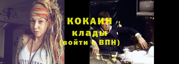 стафф Аркадак