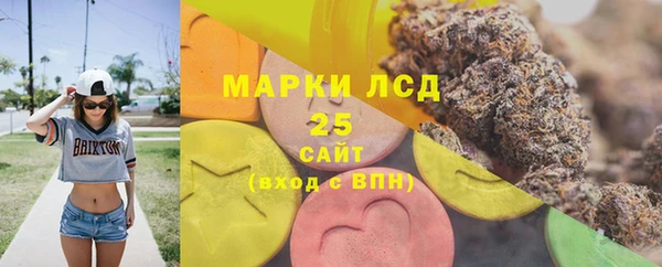 стафф Аркадак