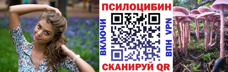 Псилоцибиновые грибы Psilocybine cubensis  наркошоп  Чапаевск 